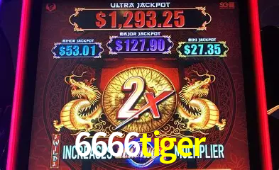 Explorando a Categoria de Eventos em Apostas na 6666tiger