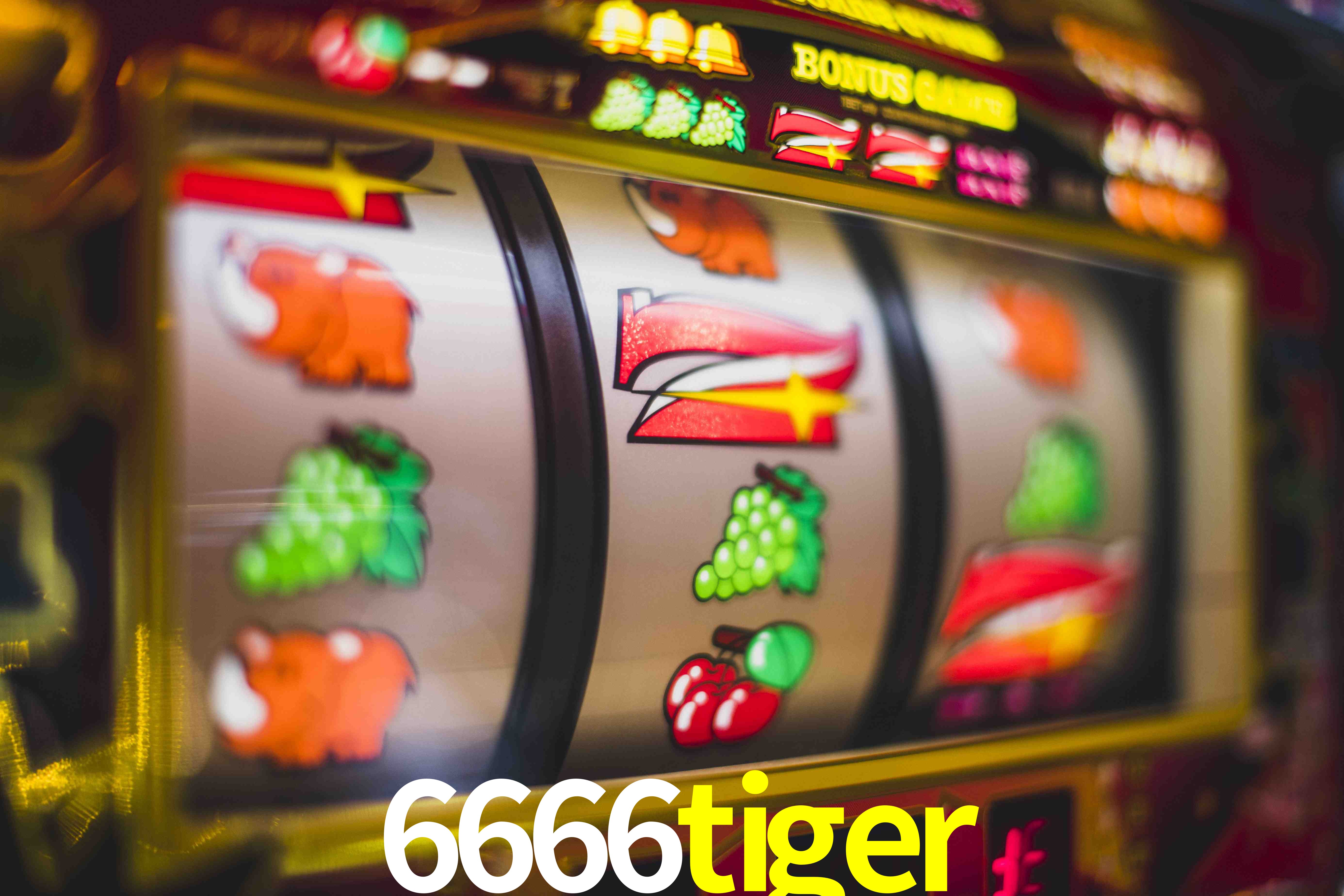 Tennis Betting 6666tiger