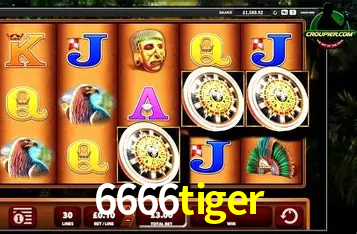 A Experiência Imersiva dos Cassinos Ao Vivo no 6666tiger