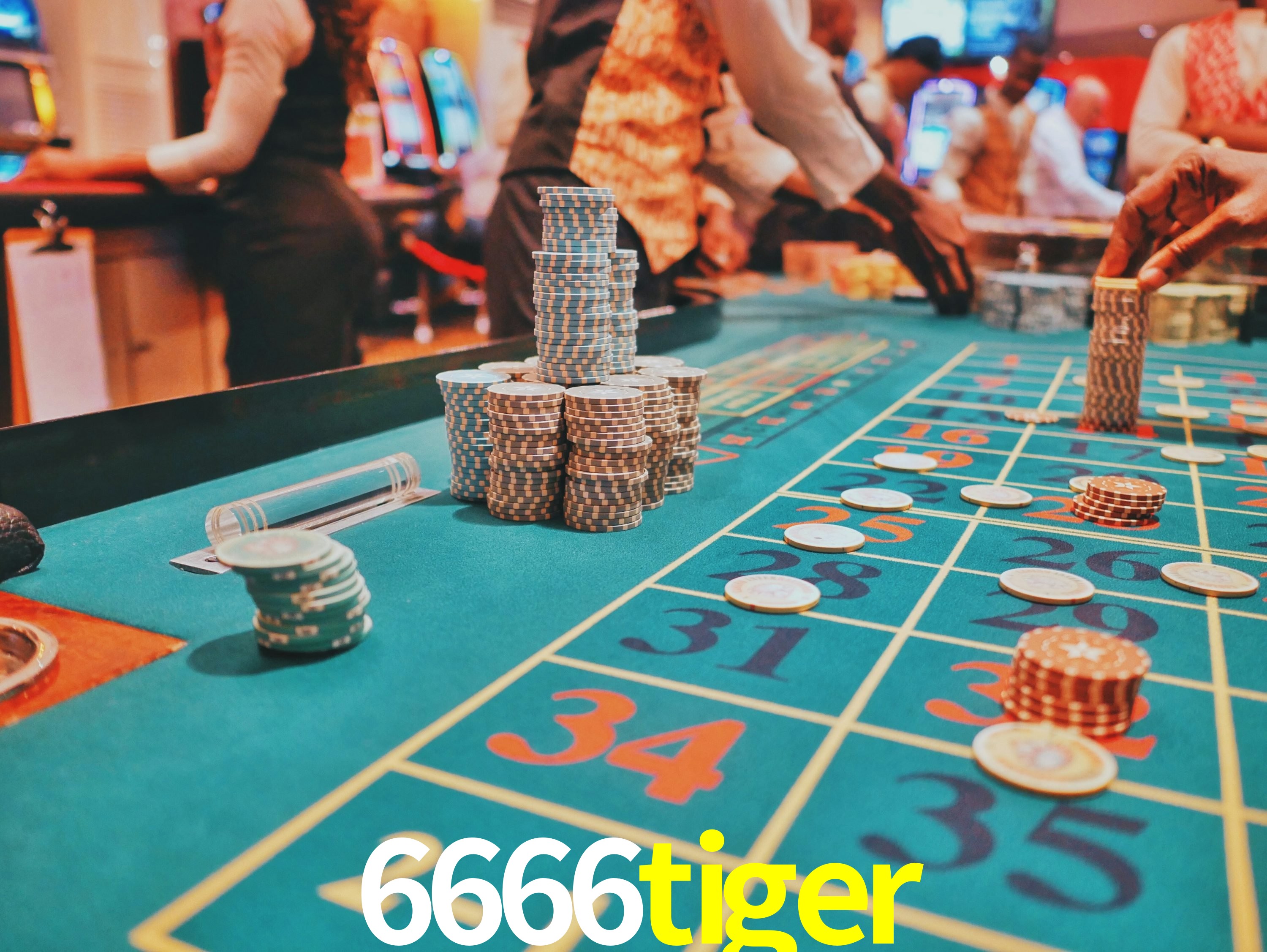 Apostas de Basquete 6666tiger